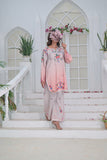 Peach Blossom
